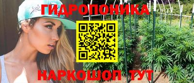 jwh Нальчик