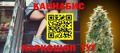 jwh Нальчик