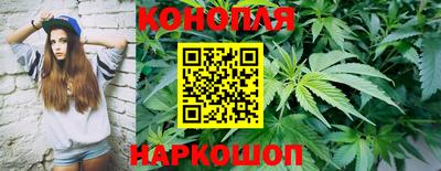 jwh Нальчик