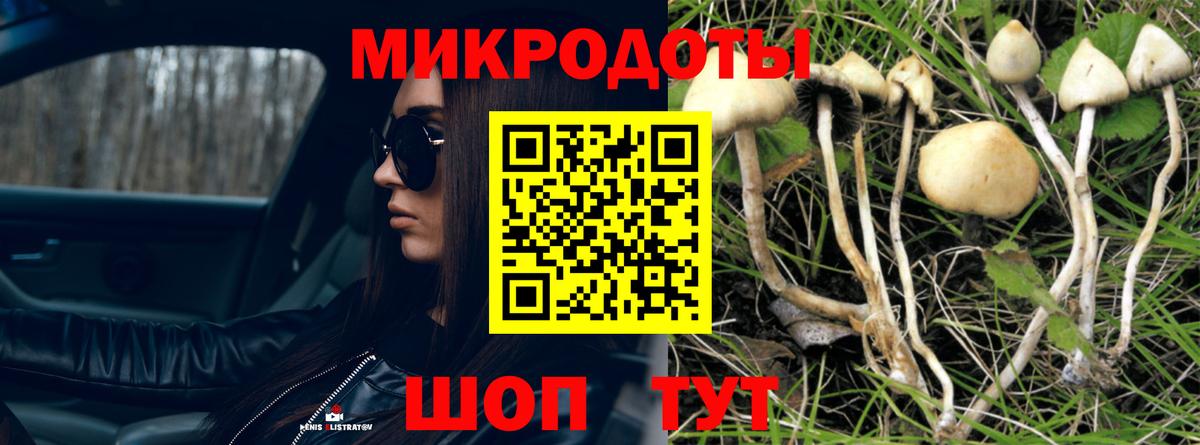 Псилоцибиновые грибы прущие грибы  Вход с VPN  Чайковский  Галлюциногенные грибы MAGIC MUSHROOMS 